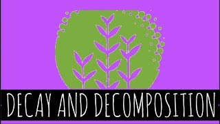 Decay and Decomposition  How Does Decay and Decomposition Work  GCSE Biology [upl. by Yla]