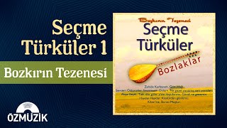 En Sevilen Türküler Karışık Sanatçılarla  Seçme TürkülerVol1 Bozkırın Tezenesi  Full Album [upl. by Adallard]