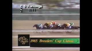 1985 Breeders Cup Day [upl. by Cadal134]