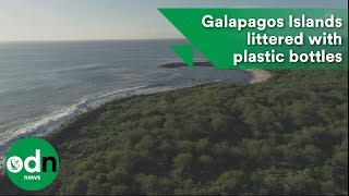 Picturesque Galapagos Islands littered with plastic bottles [upl. by Dewhurst884]