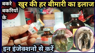 बकरे बकरियों के खुर की हर बीमारी का इलाज इन इंजेक्शनो से करेंKhur ki Bimari ke illaj ke injection [upl. by Enyale]