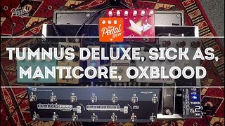 That Pedal Show – Beyond The Klon Centaur Tumnus Deluxe Oxblood Manticore and Sick As Overdrives [upl. by Antonietta]