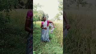 Nalupunerednti kallalona viral video [upl. by Gurolinick]