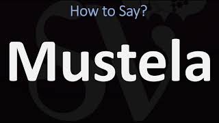 How to Pronounce Mustela CORRECTLY [upl. by Eolhc]