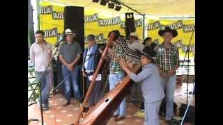 instrumental llanero joropo  oscar julián garzón buitrago [upl. by Ellenehs]