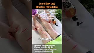 Learn Easy Leg Meridian Stimulation [upl. by Furmark]