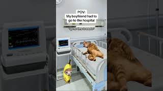 CAT MEMES 🐱My boyfriend had to go to the hospital catmemes relatable relationship [upl. by Htabmas79]