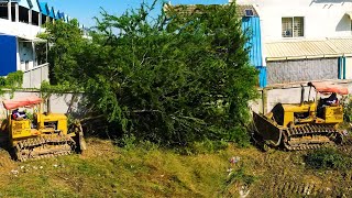 Impossible Hard Landfill Project Mini Komatsu Dozer and Dump Trucks Unloading Process [upl. by Oswin]