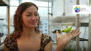 Portrait of an entomology technician at the Insectarium de Montréal [upl. by Lambard]