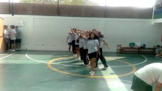 ENSAYO DE SAYA [upl. by Larual40]