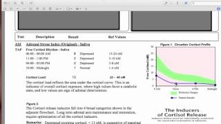 Adrenal Stress Index Panel  HealthE Coaching [upl. by Oidiple]