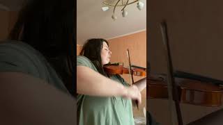 Fairytale Alexander rybak violin cover [upl. by Elmer]