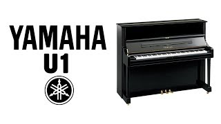 Yamaha U1 Demo [upl. by Juieta]