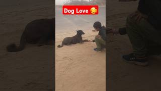 Dog love 🥰🔥⚘️cuteanimal youtubeshorts doglover puppydogandpuppycat cutepet [upl. by Spearman]