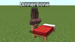 how the dinnerbone villager will sleep [upl. by Nixon]