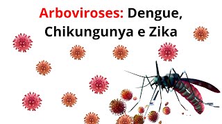 Arboviroses Dengue Chikungunya e Zika [upl. by Ahsets]