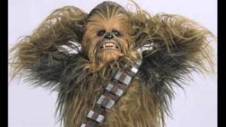 supernova chewbacca what a wookie [upl. by Hselin958]