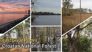 Croatan National Forest  Last Great Places [upl. by Enirak]