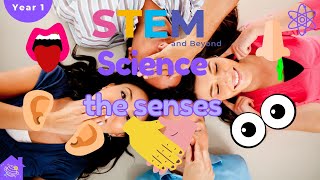 Senses  KS1 Year 1 Science  Home Learning [upl. by Etnoel102]