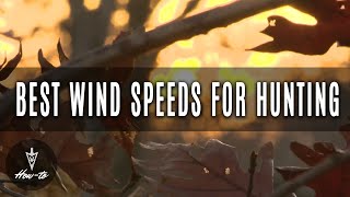 Best Wind Speeds For Hunting [upl. by Collum]