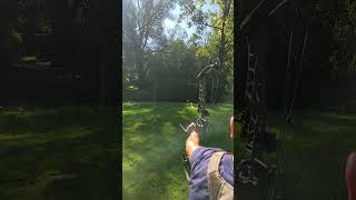 Slow Motion Mathews TRX34 Hamskea trinity [upl. by Lemkul]