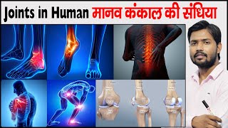 मानव शरीर की संधि  Joints In Human skeleton  Joints Of Body  Joints Of Bone  Types Of Joints [upl. by Taimi]