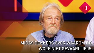 Midas Dekkers quotWe zijn anderhalve eeuw verwend geweest dat er even geen wolven warenquot  Op1 [upl. by Johnathon]