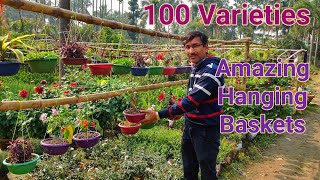 100 Varieties of Hanging Baskets Ideas [upl. by Oigufer]