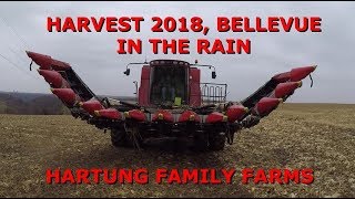 Harvest 2018 Bellevue in the Rain [upl. by Corvin]