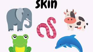 Body Covering of Animals for Kids [upl. by Lance782]