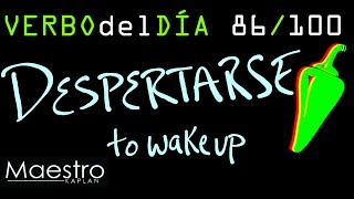 Verb of the day DESPERTARSE – TO WAKE UP 86100 [upl. by Nemrak]