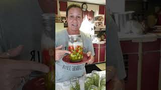 Canning Green Sweet Peas Using dried beans Part 2 [upl. by Papst115]