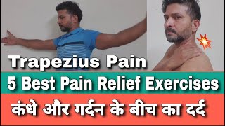 Best Exercises For Trapezius Pain In Hindi  Upper Back Pain  Neck Pain  कंधे के उपर के दर्द [upl. by Assetniuq]