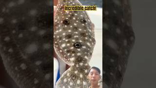 Unbelievable Catch A Rare Flatfish with Unique Traits FishingAdventure [upl. by Ttik676]