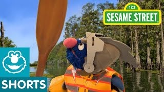 Sesame Street Grover Helps Piggies Up Creek  Super Grover 20 [upl. by Ennairam]