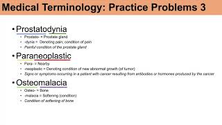 Medical Terminology  The Basics and Anatomy  Practice Lesson 4 [upl. by Dib]