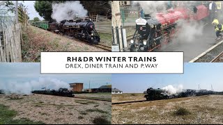 RHDR Winter Trains [upl. by Yenal]