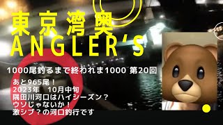 【東京湾奥】隅田川河口は秋爆？ウソじゃないか！【シーバス釣り】2023 10月中旬 Can We Catch Fish In Tokyo Bay 20 [upl. by Virgie]