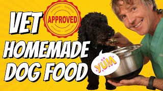 Vet Approved Homemade Dog Food Good for Digestive Issues [upl. by Capwell167]