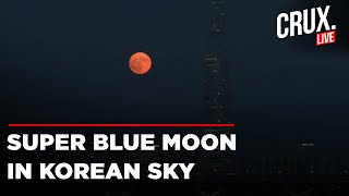 Rare Super Blue Moon Rises Over South Korean Capital Seoul  Supermoon Live  Blue Moon Live [upl. by Dleifniw]