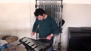 The Magic Flute  Glockenspiel  Vincenzo Raddato [upl. by Marla]