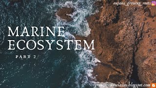 MARINE ECOSYSTEM Part 2  Malayalam  Marine Biota  Pelagic Realm  Benthic Realm OCEAN ECOSYSTEM [upl. by Dranoel]