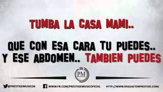 Tumba La Casa Mami  LETRA [upl. by Igiul]