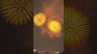 Tokyos Most Epic Fireworks Displays shorts [upl. by Quintie]