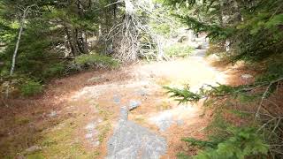 East Gilford Trail to Belknap Mountain [upl. by Ytomit]