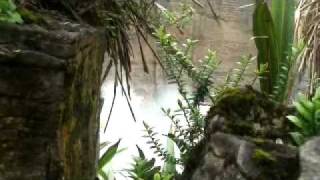 Punakaiki Blowholes and Pancake Rocks New Zealand [upl. by Amir]