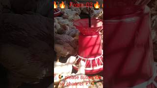 Boiler Murgi The Viral Video Unique chicken house69 [upl. by Daukas]