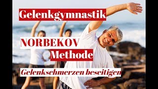 Gelenkgymnastik nach der Norbekov Methode aus dem Buch Eselsweisheit Vollversion auf Englisch [upl. by Gnat]