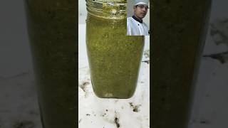 How to make pesto sauce pesto sauce treding songshorts [upl. by Aehtela491]