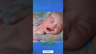 Ultimate Comfort  The Best Mesh Bath Nets For Newborn Babies BestBathNets MeshBathNet [upl. by Aset]